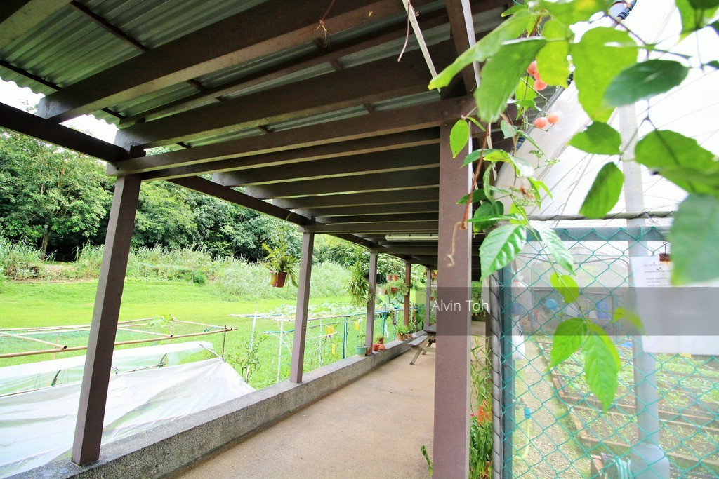 Blk 467 Segar Road (Bukit Panjang), HDB 4 Rooms #192951492